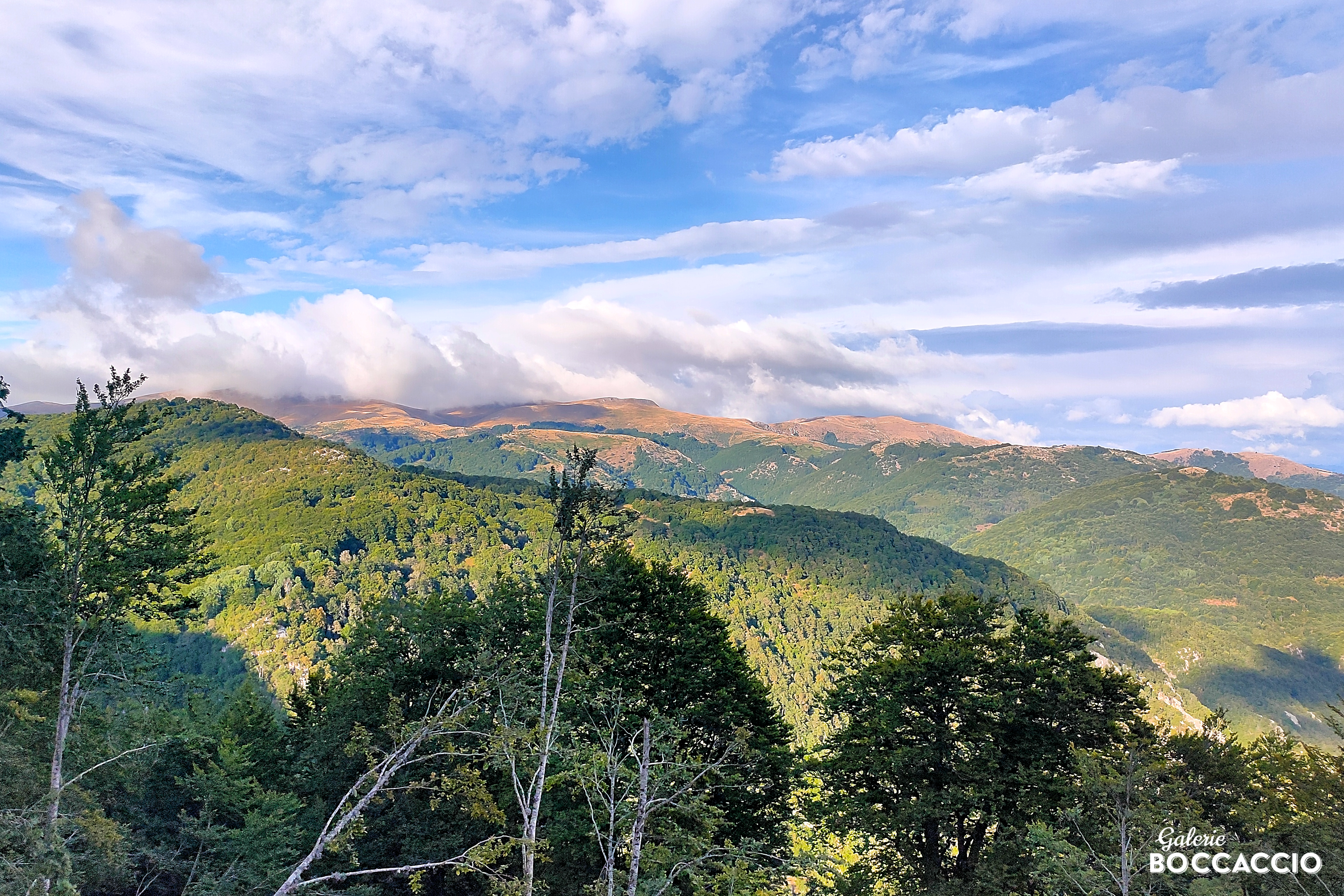 Pohled na Národní park Mavrovo.